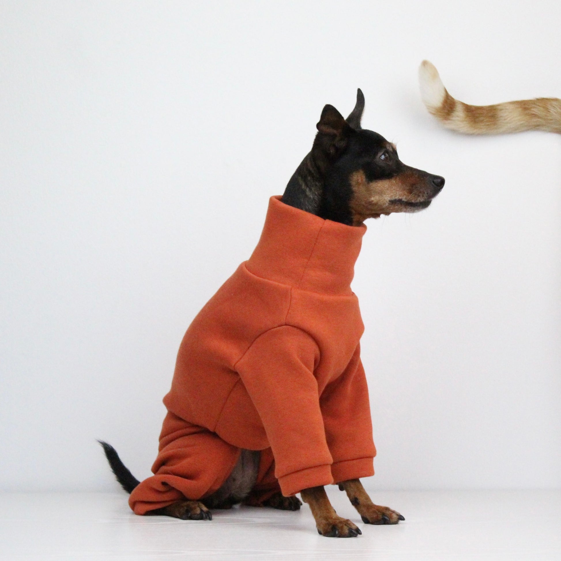 Sweatshirt Onesie Pullover Jumpsuit for Dogs | Custom-Tailored, Made to Measure