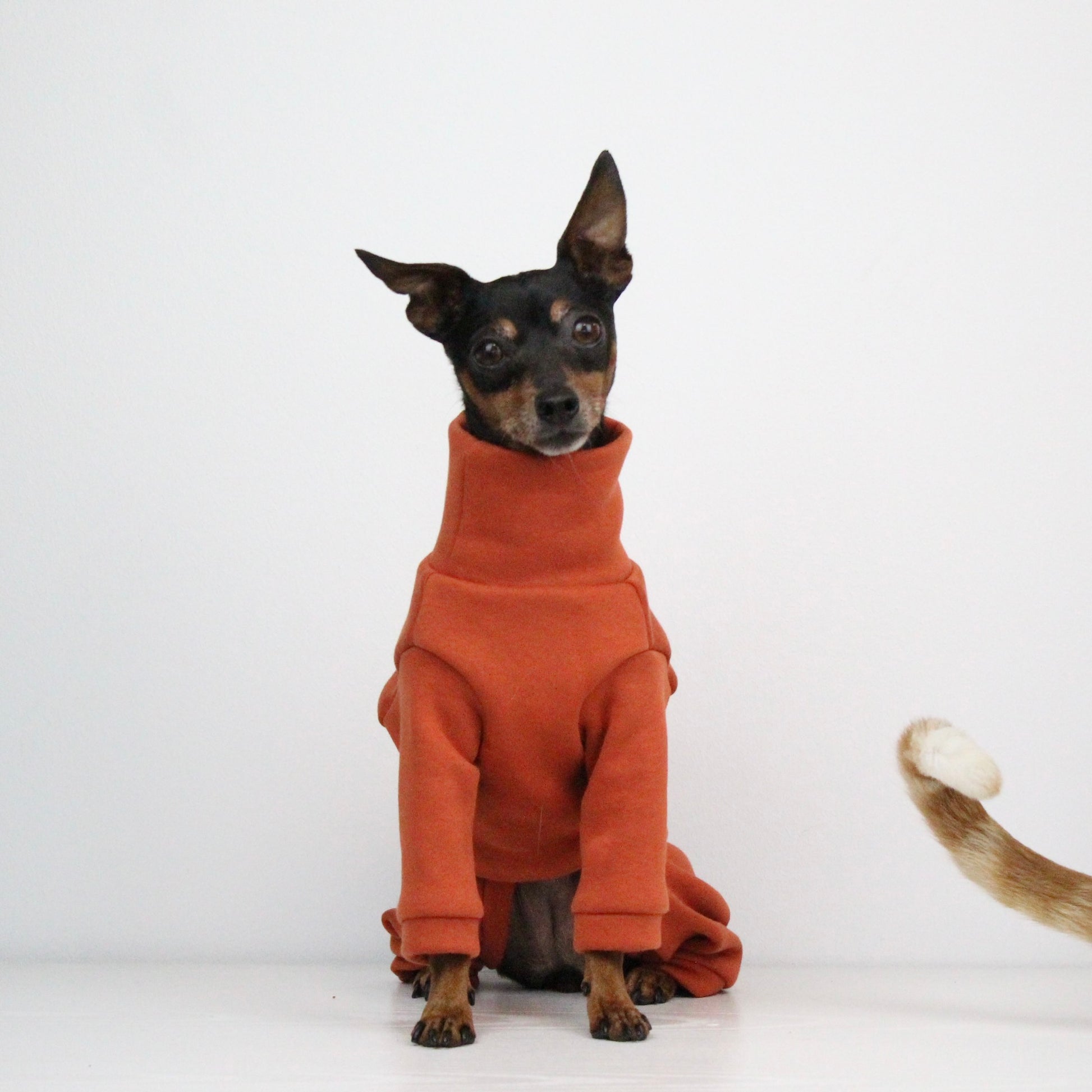 Sweatshirt Onesie Pullover Jumpsuit for Dogs | Custom-Tailored, Made to Measure