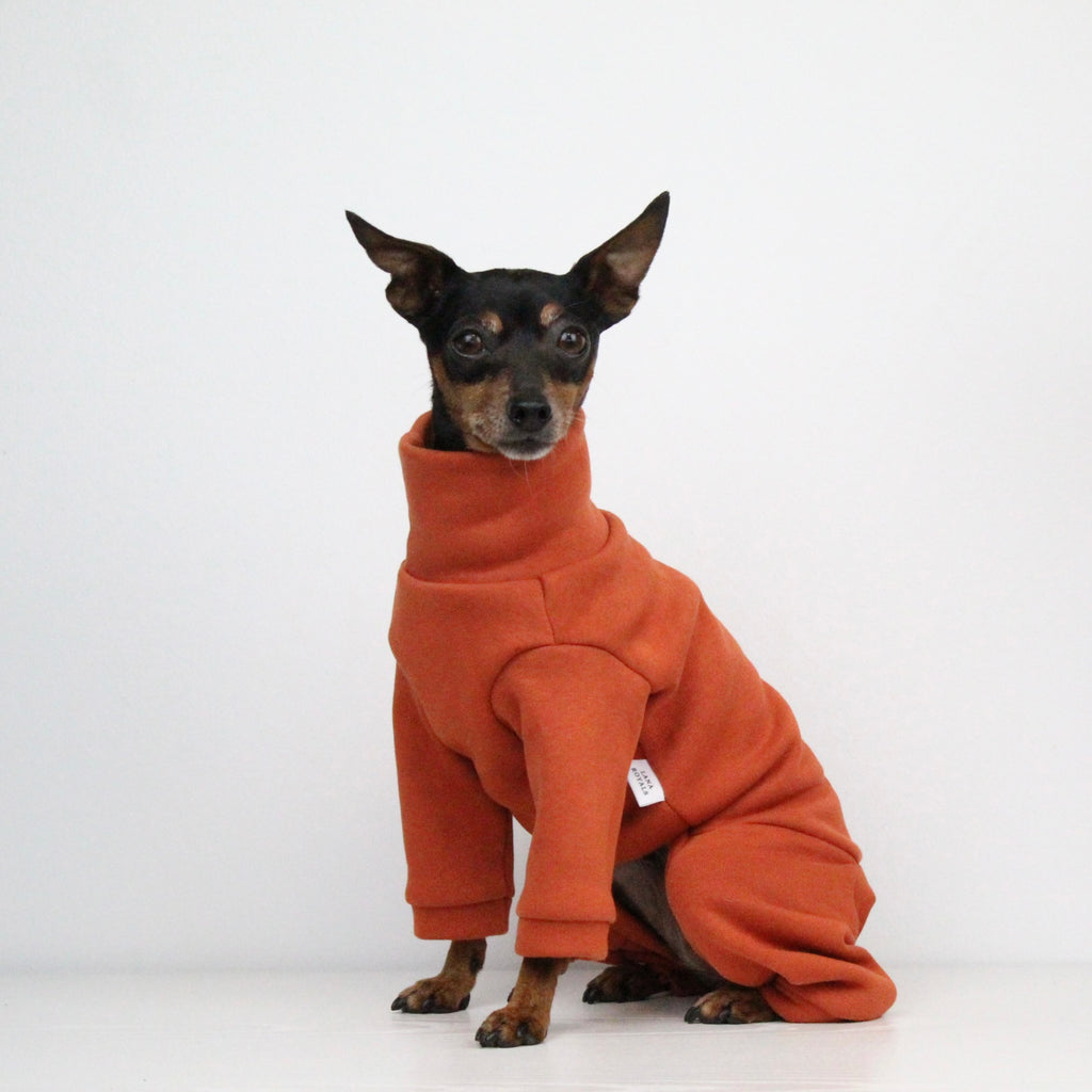 Sweatshirt Onesie Pullover Jumpsuit for Dogs | Custom-Tailored, Made to Measure