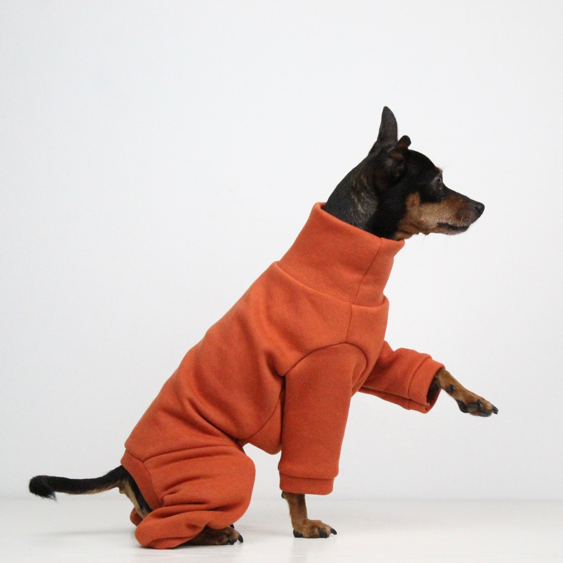Sweatshirt Onesie Pullover Jumpsuit for Dogs | Custom-Tailored, Made to Measure