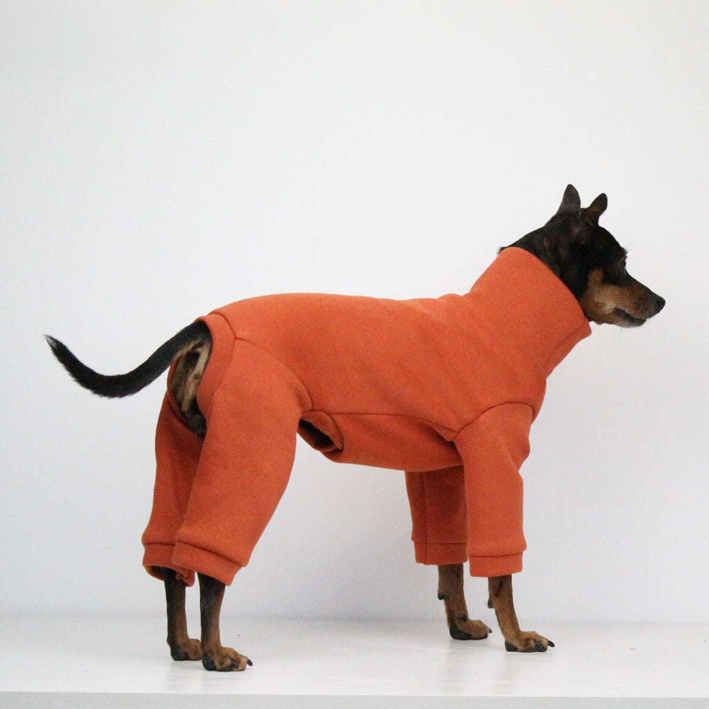 Sweatshirt Onesie Pullover Jumpsuit for Dogs | Custom-Tailored, Made to Measure