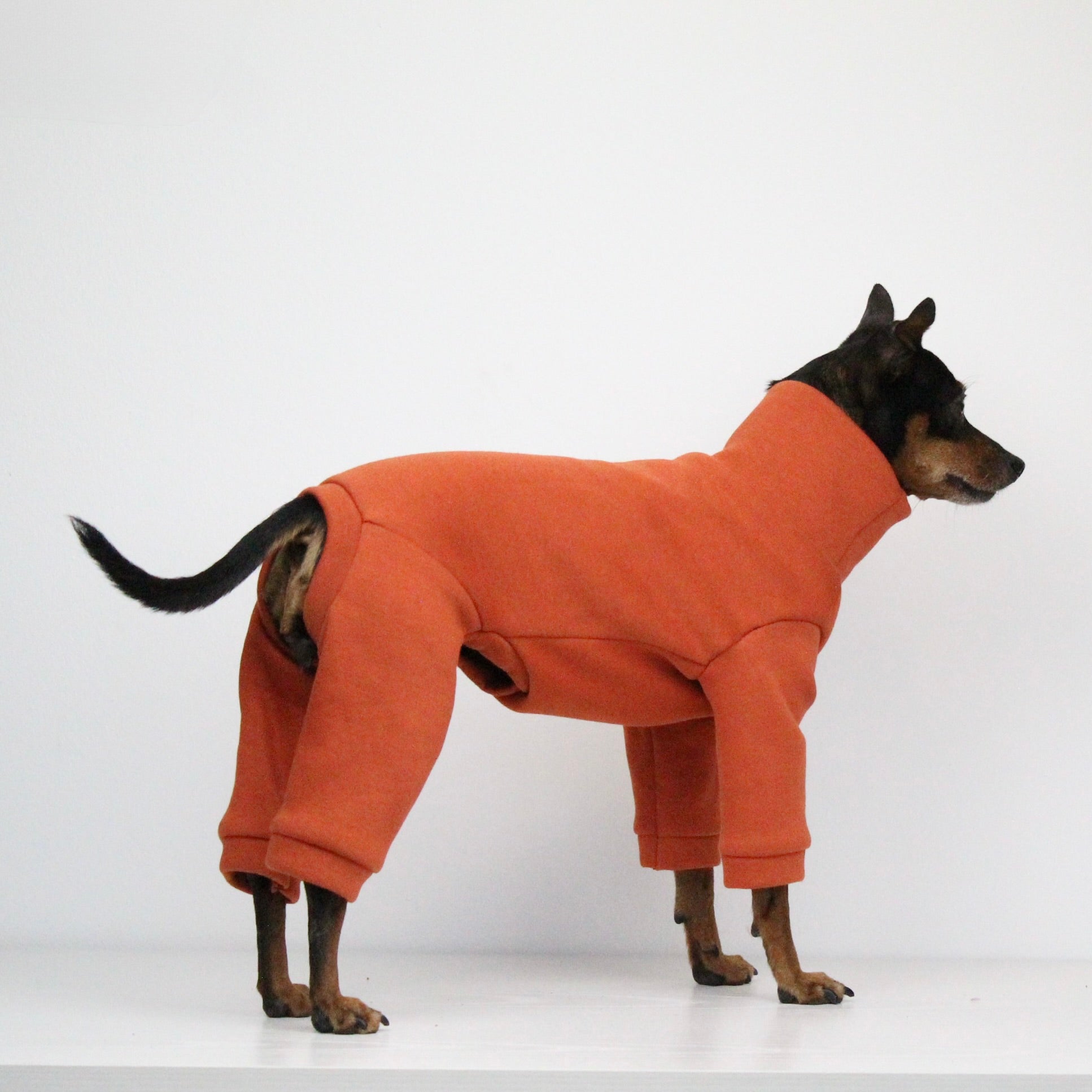 Sweatshirt Onesie Pullover Jumpsuit for Dogs | Custom-Tailored, Made to Measure