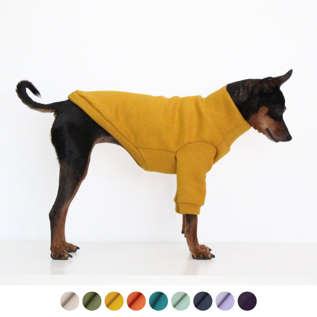 Sweatshirt Jumper with Front Sleeves for Dogs | Custom-Tailored, Made to Measure