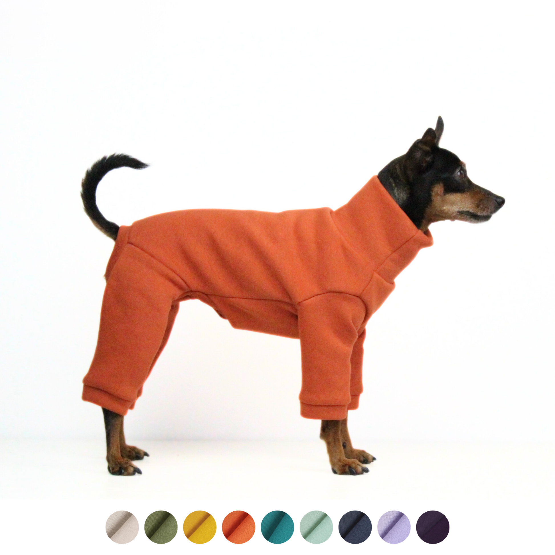 Sweatshirt Onesie Pullover Jumpsuit for Dogs | Custom-Tailored, Made to Measure