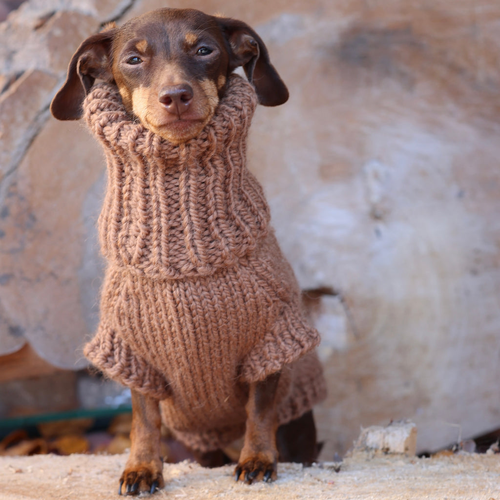 ARCTIC Hand-Knitted Alpaca Wool Turtleneck Sweater for Small Dogs | Custom-Tailored, Made to Measure