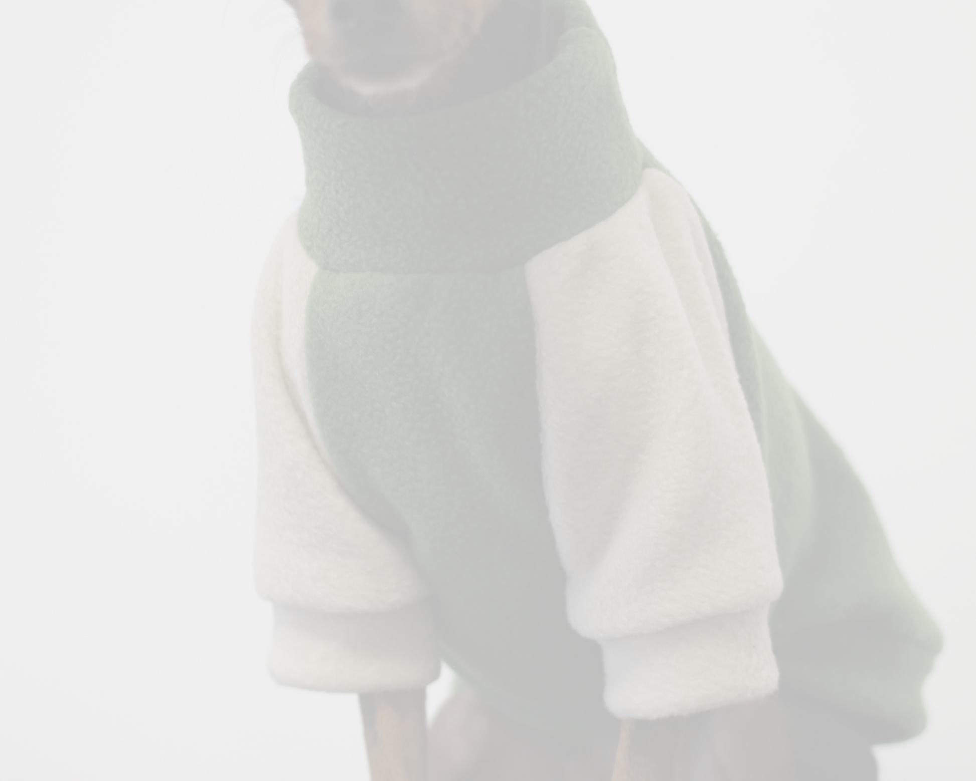 Dog wearing a fleece sweater with raglan sleeves. Custom handmade sweaters for dogs from Lana Royals Pet Wear.