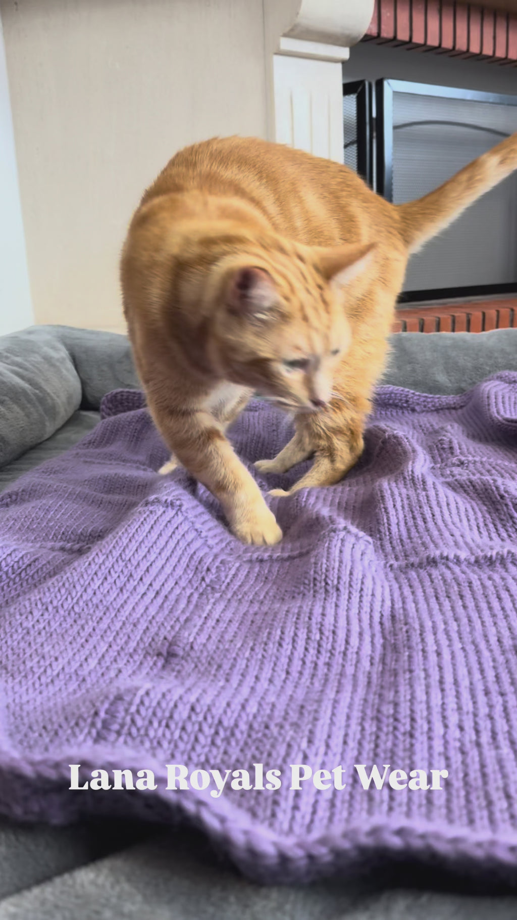 SNOW Amethyst Purple Hand-Knitted Alpaca Wool Blanket for Small Dogs or Cats | 80 x 90 cm