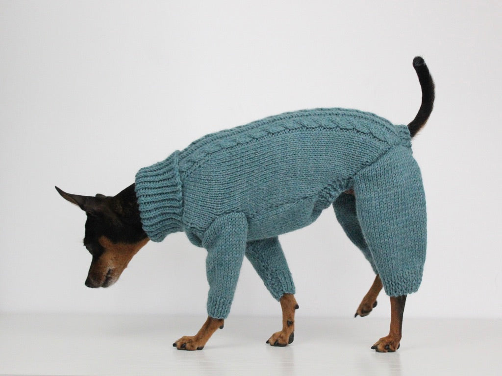 'PRIMUS' Dog Jumpsuit – PDF KNITTING PATTERN