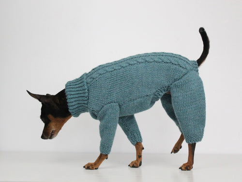 'PRIMUS' Dog Jumpsuit – PDF KNITTING PATTERN