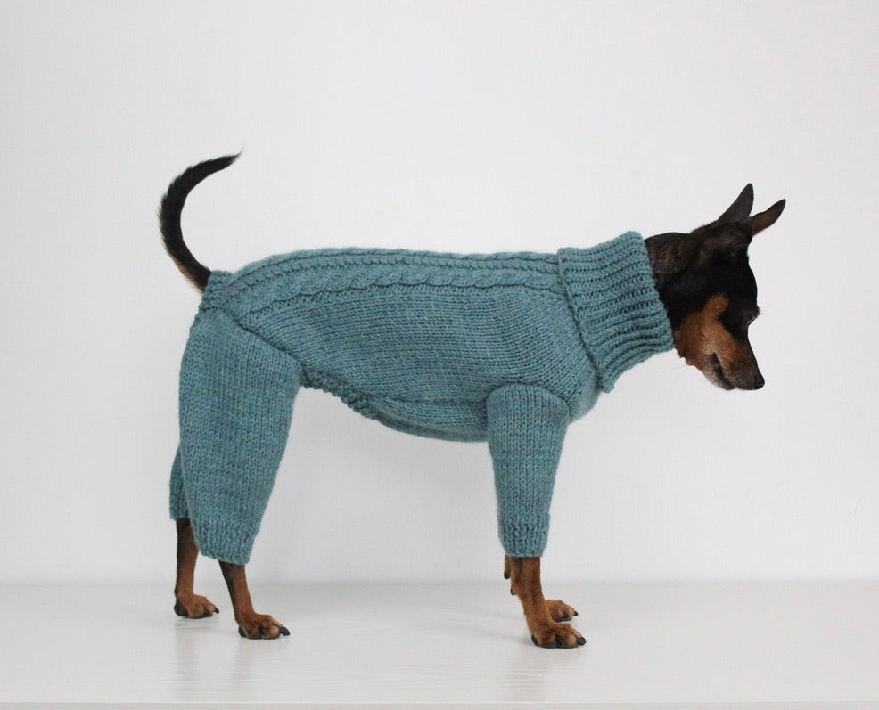 'PRIMUS' Dog Jumpsuit – PDF KNITTING PATTERN
