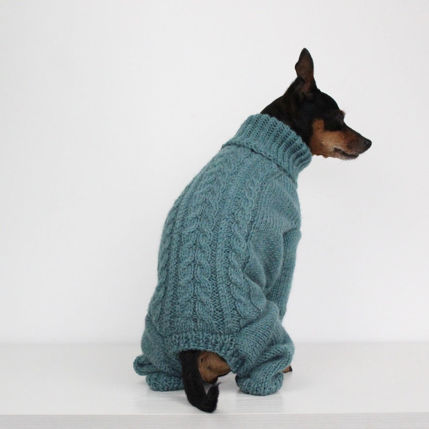'PRIMUS' Dog Jumpsuit – PDF KNITTING PATTERN