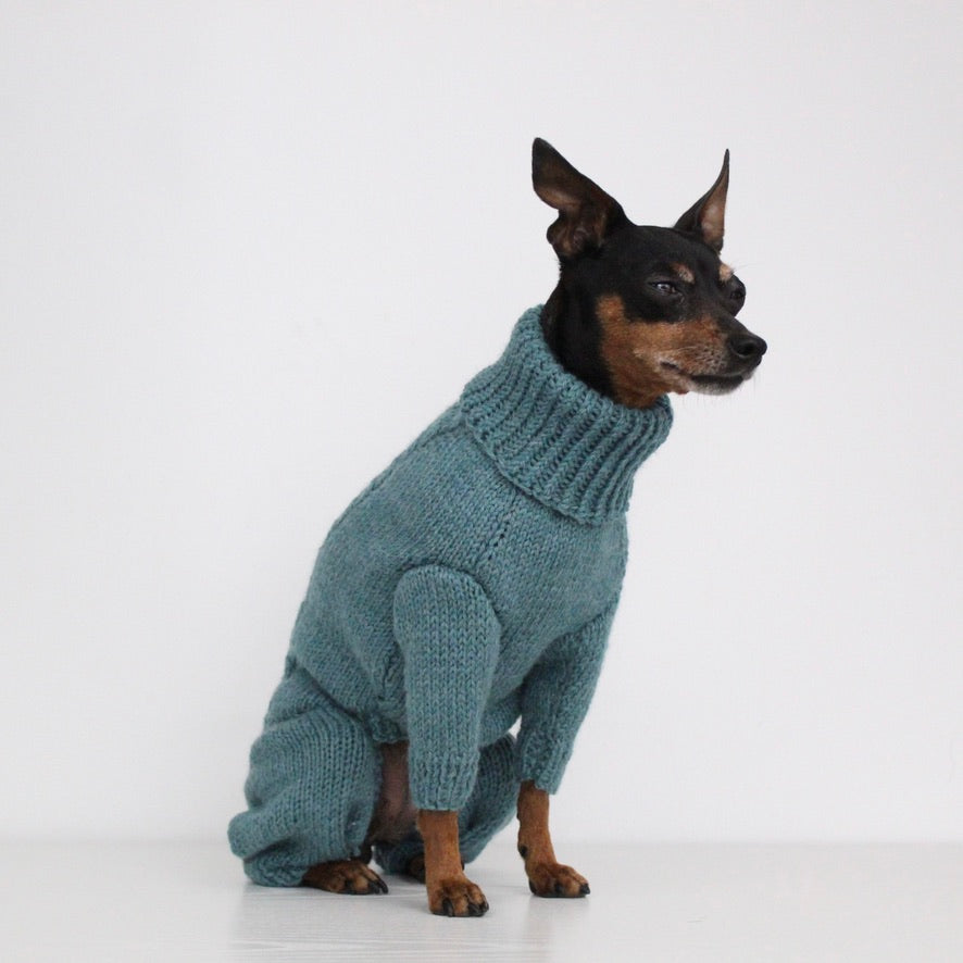 'PRIMUS' Dog Jumpsuit – PDF KNITTING PATTERN