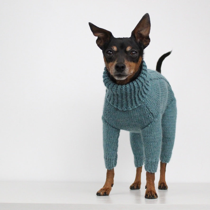 'PRIMUS' Dog Jumpsuit – PDF KNITTING PATTERN