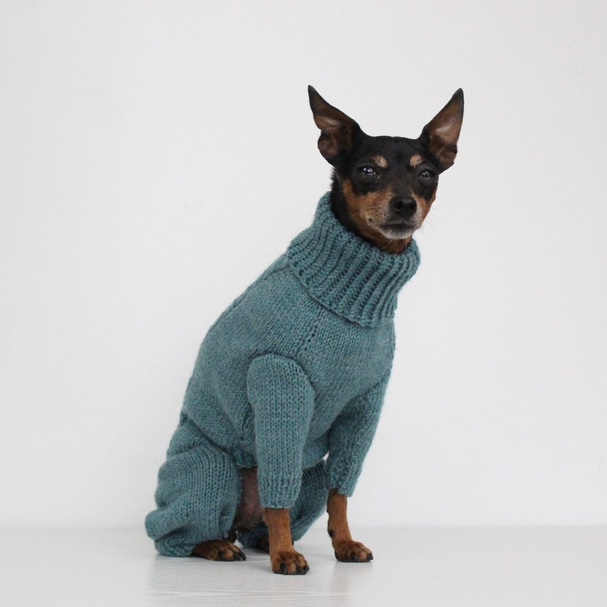 'PRIMUS' Dog Jumpsuit – PDF KNITTING PATTERN