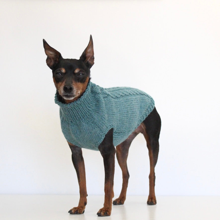 'PRIMUS' Dog Sleeveless Sweater – PDF KNITTING PATTERN