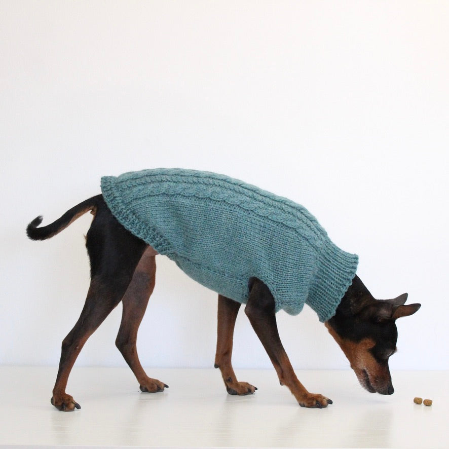 'PRIMUS' Dog Sleeveless Sweater – PDF KNITTING PATTERN