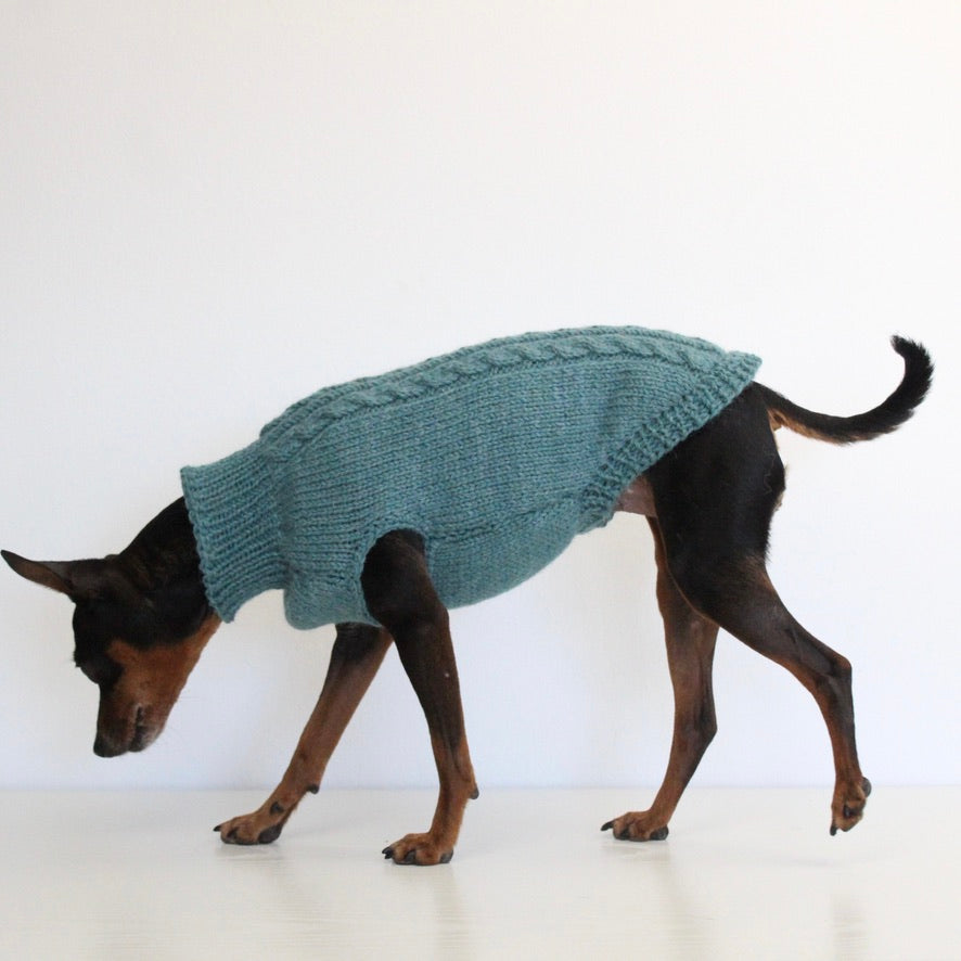 'PRIMUS' Dog Sleeveless Sweater – PDF KNITTING PATTERN