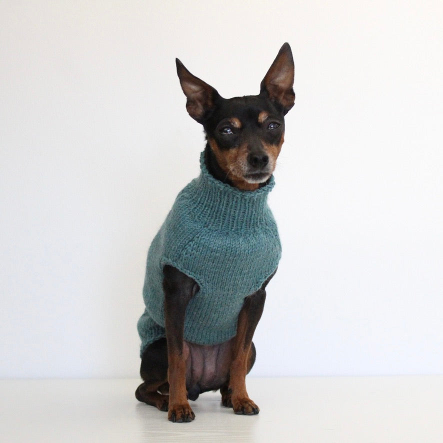 'PRIMUS' Dog Sleeveless Sweater – PDF KNITTING PATTERN