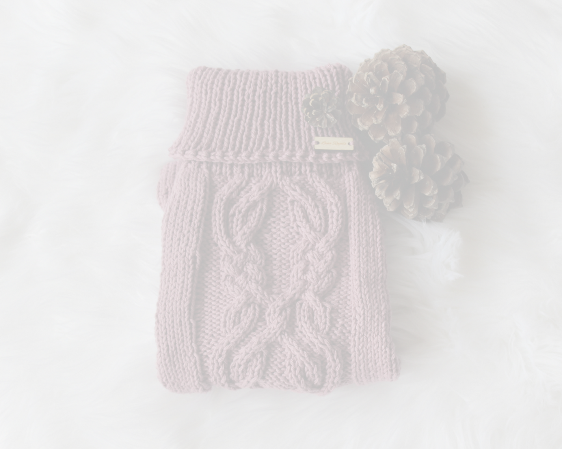 Knitted dog sweater with floral accessory on a white background. Custom handmade sweaters for dogs from Lana Royals Pet Wear.