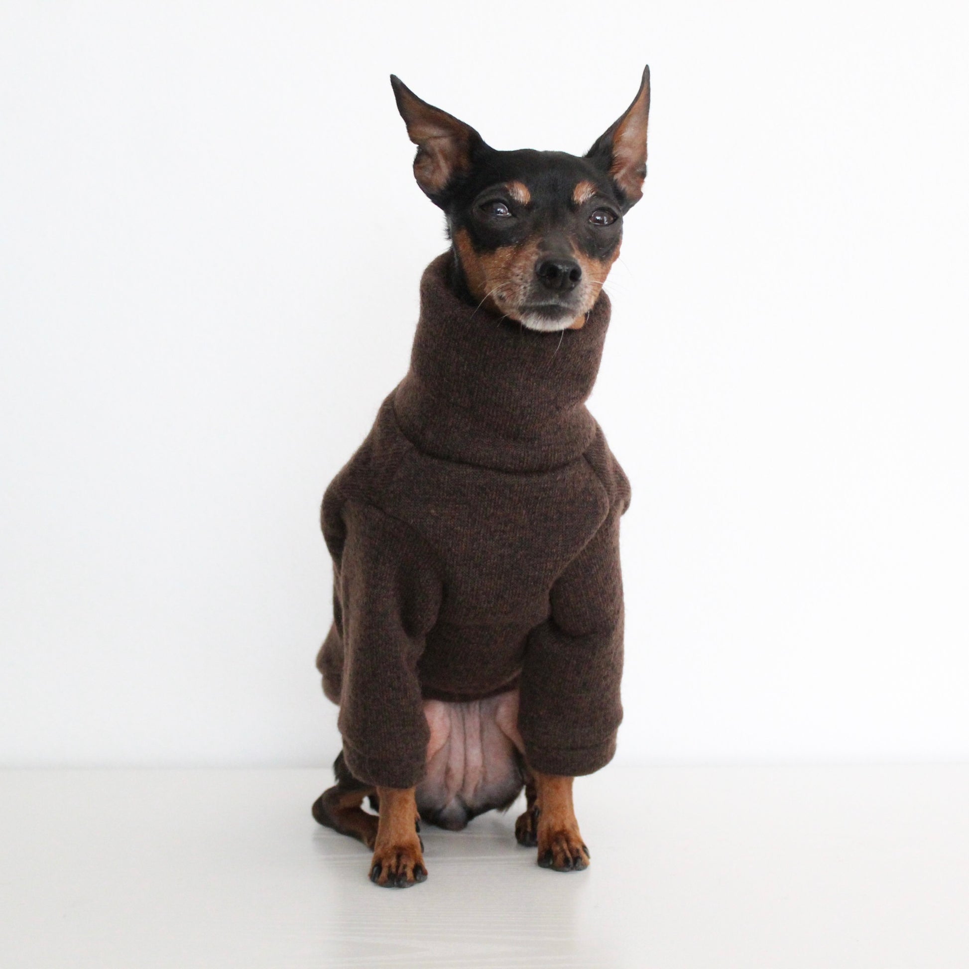 WOOLLY Dark Brown Wool Fabric Jumper with Front Sleeves for Dogs | Custom-Tailored, Made to Measure