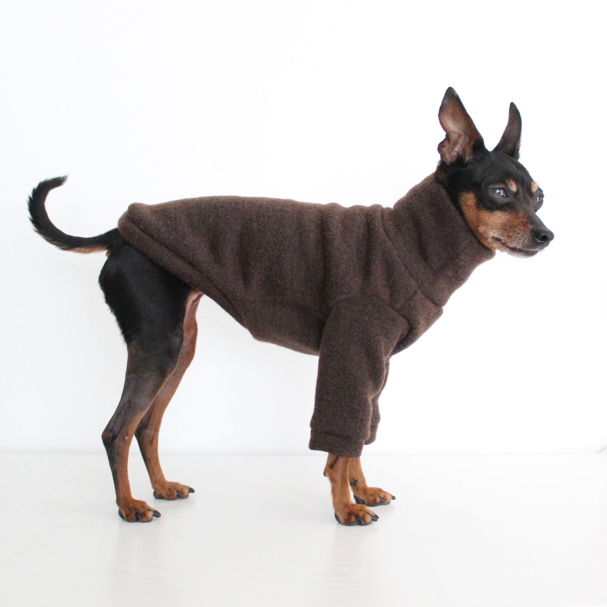 WOOLLY Dark Brown Wool Fabric Jumper with Front Sleeves for Dogs | Custom-Tailored, Made to Measure