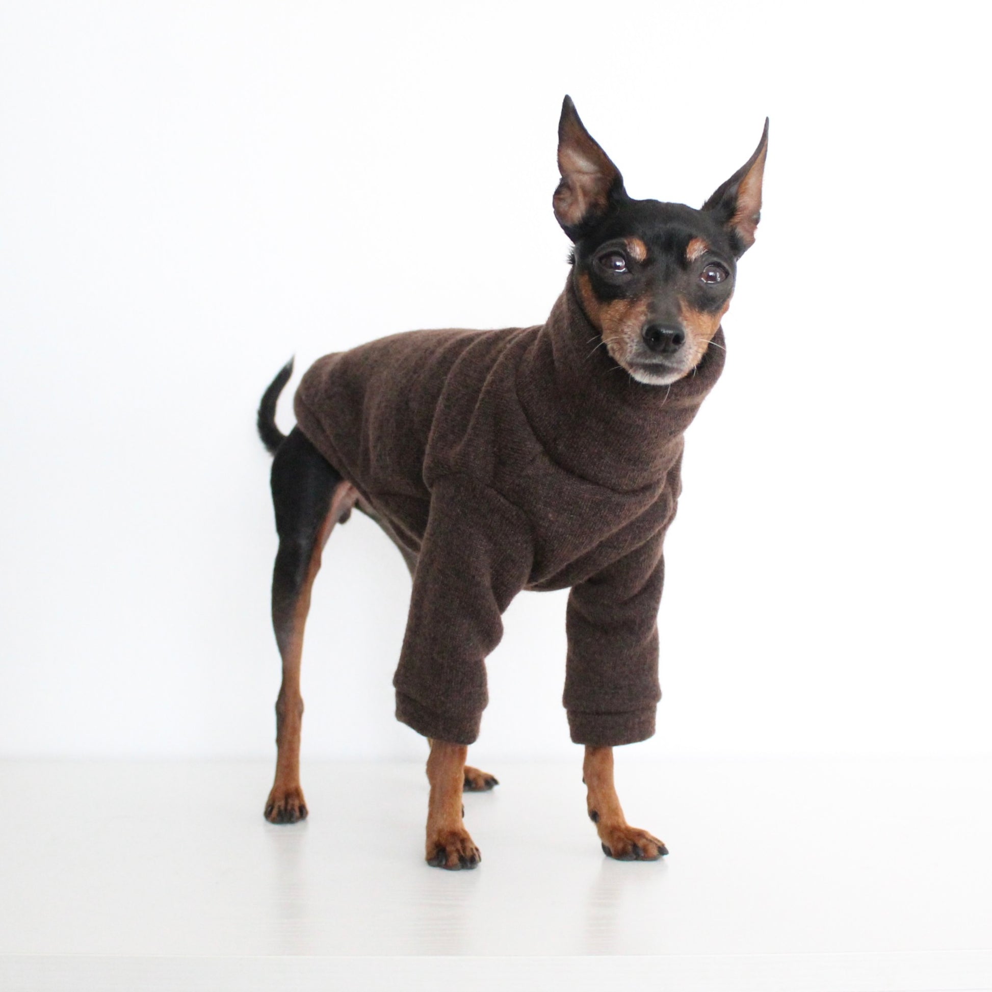 WOOLLY Dark Brown Wool Fabric Jumper with Front Sleeves for Dogs | Custom-Tailored, Made to Measure