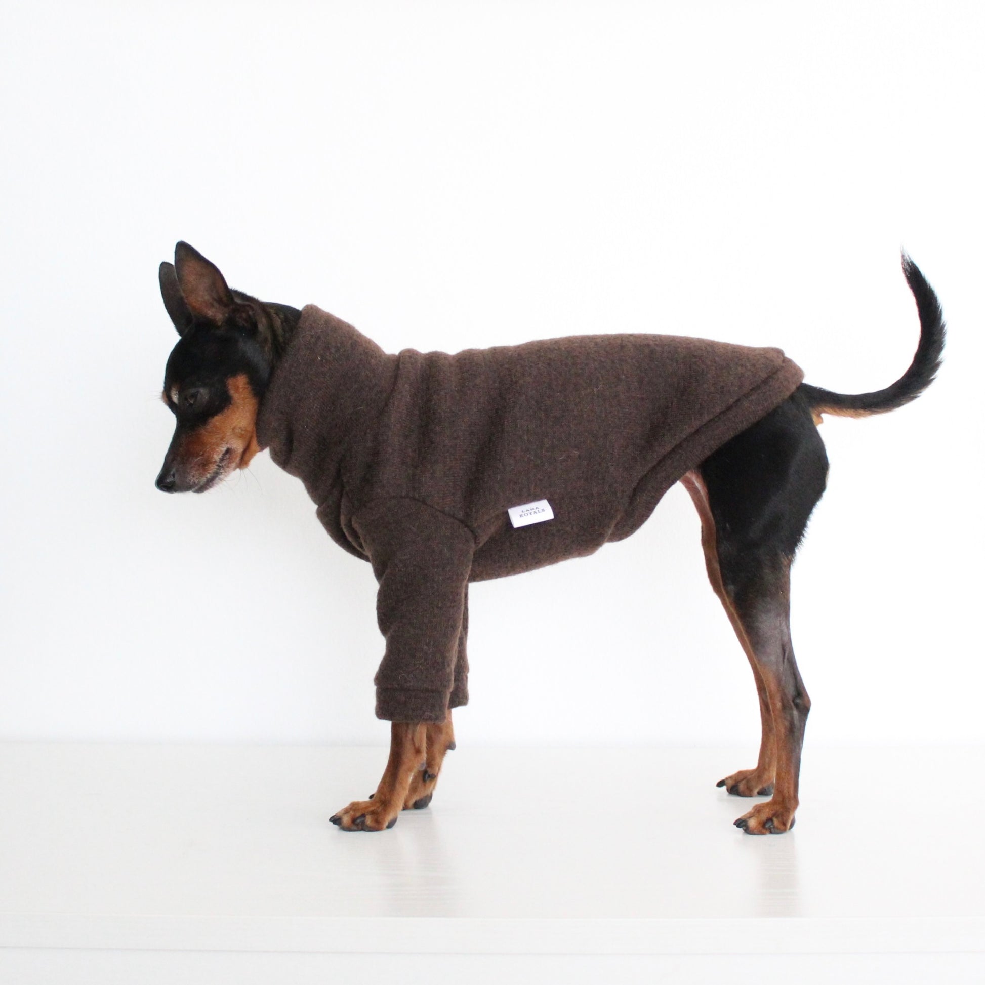 WOOLLY Dark Brown Wool Fabric Jumper with Front Sleeves for Dogs | Custom-Tailored, Made to Measure