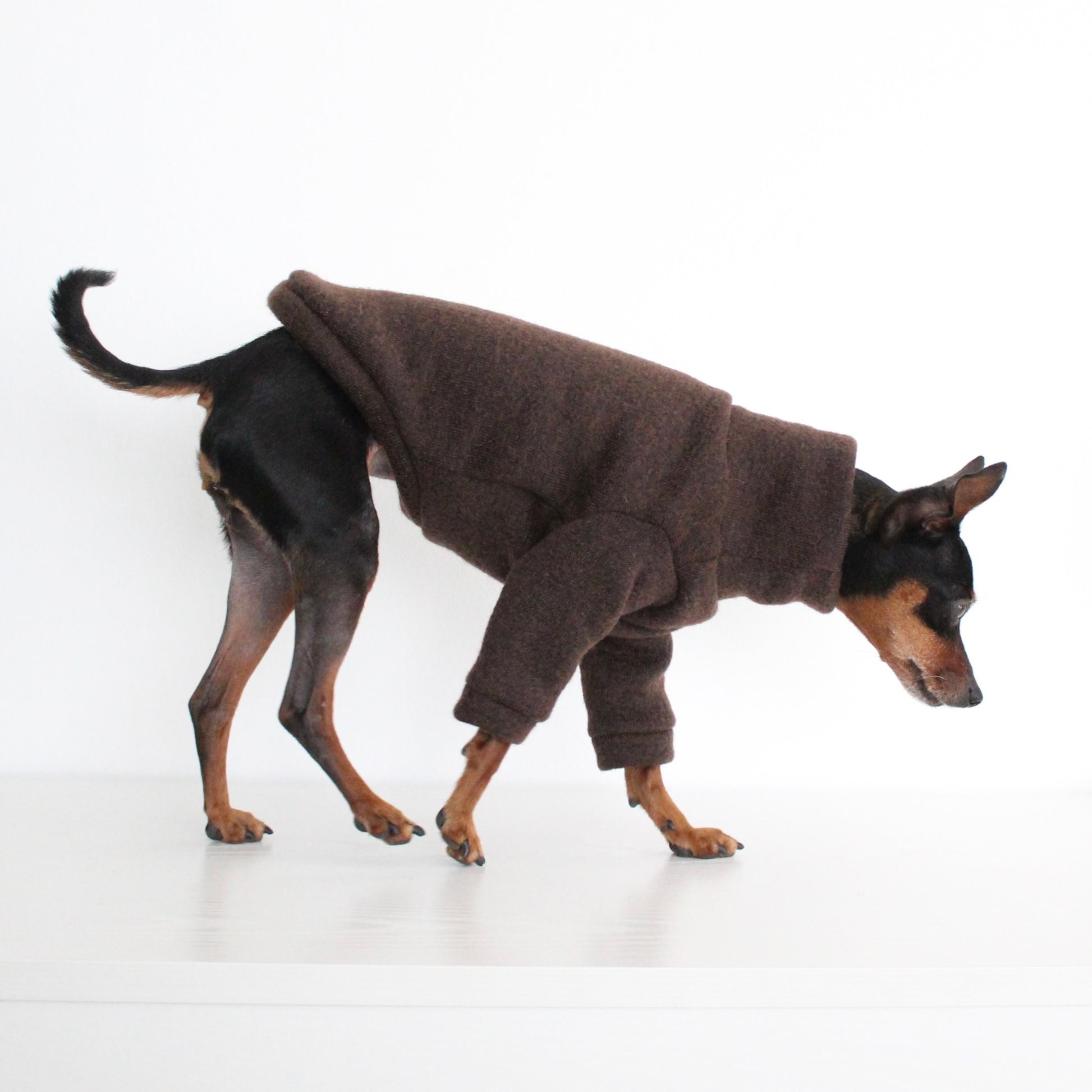 WOOLLY Dark Brown Wool Fabric Jumper with Front Sleeves for Dogs | Custom-Tailored, Made to Measure