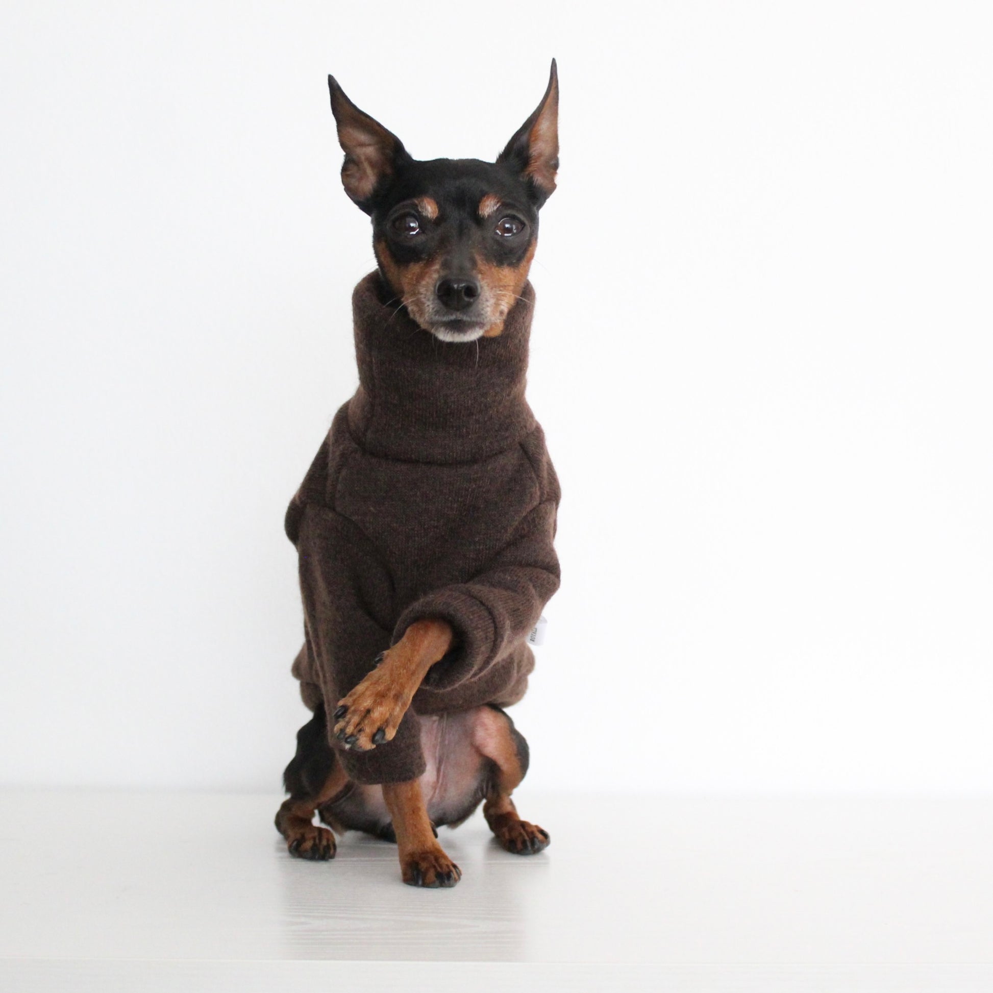 WOOLLY Dark Brown Wool Fabric Jumper with Front Sleeves for Dogs | Custom-Tailored, Made to Measure