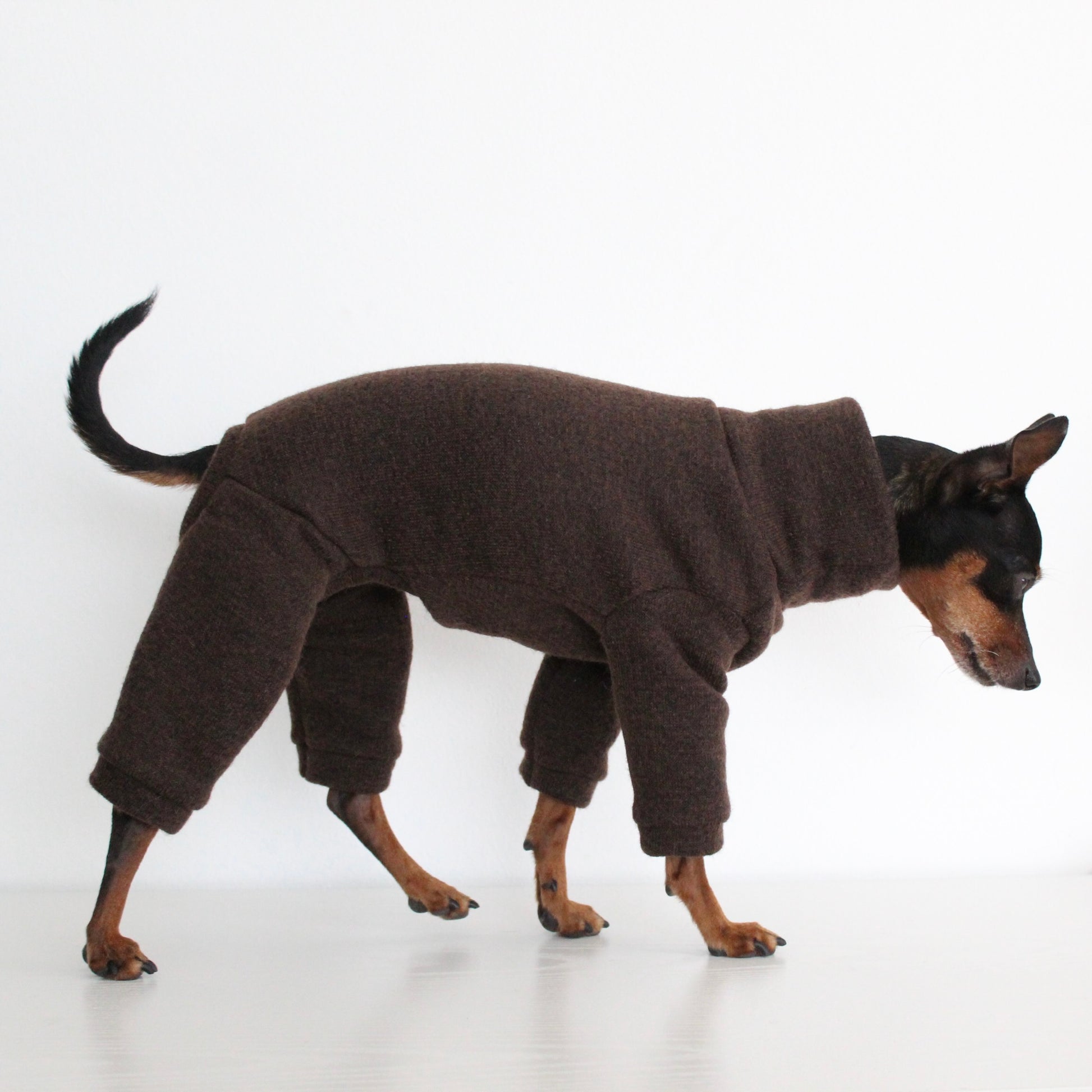 WOOLLY Dark Brown Wool Fabric Onesie Pullover Jumpsuit for Dogs | Custom-Tailored, Made to Measure