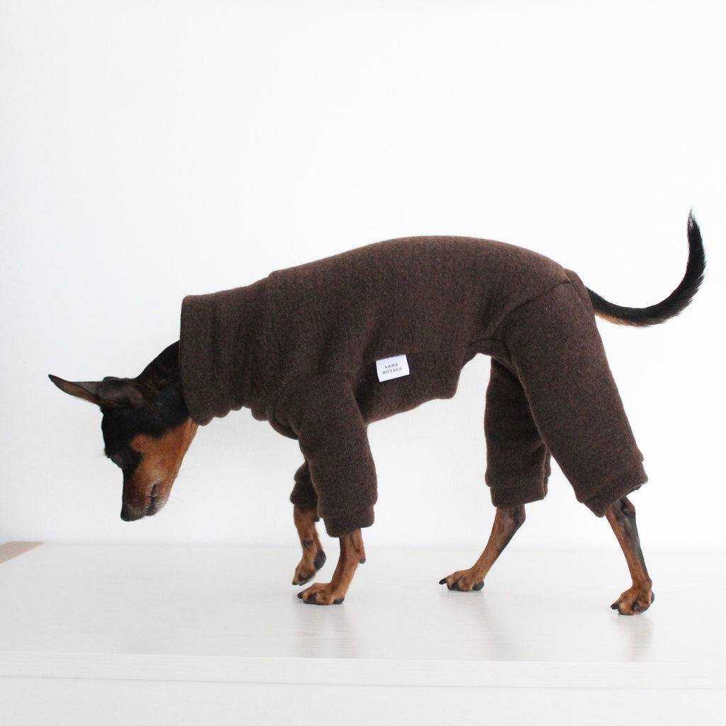 WOOLLY Dark Brown Wool Fabric Onesie Pullover Jumpsuit for Dogs | Custom-Tailored, Made to Measure