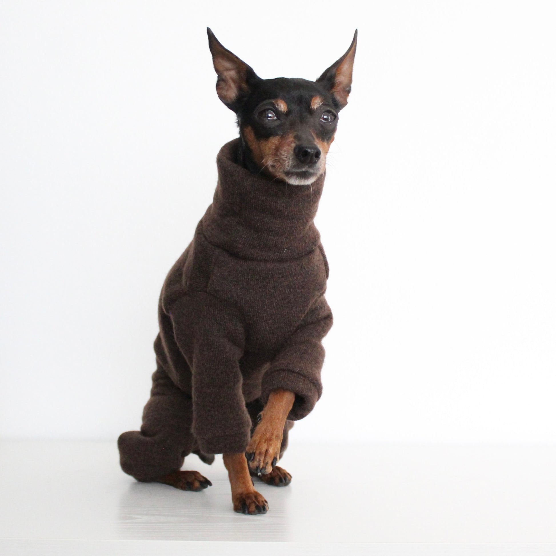 WOOLLY Dark Brown Wool Fabric Onesie Pullover Jumpsuit for Dogs | Custom-Tailored, Made to Measure