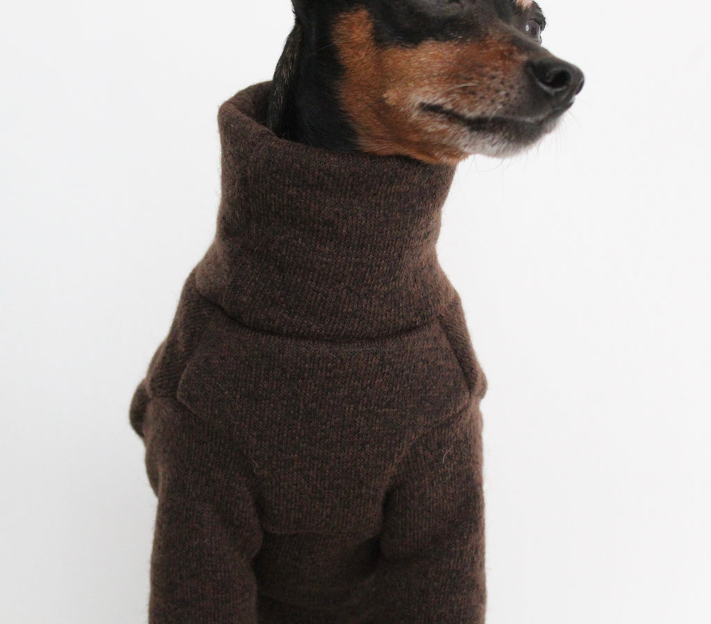 WOOLLY Dark Brown Wool Fabric Onesie Pullover Jumpsuit for Dogs | Custom-Tailored, Made to Measure