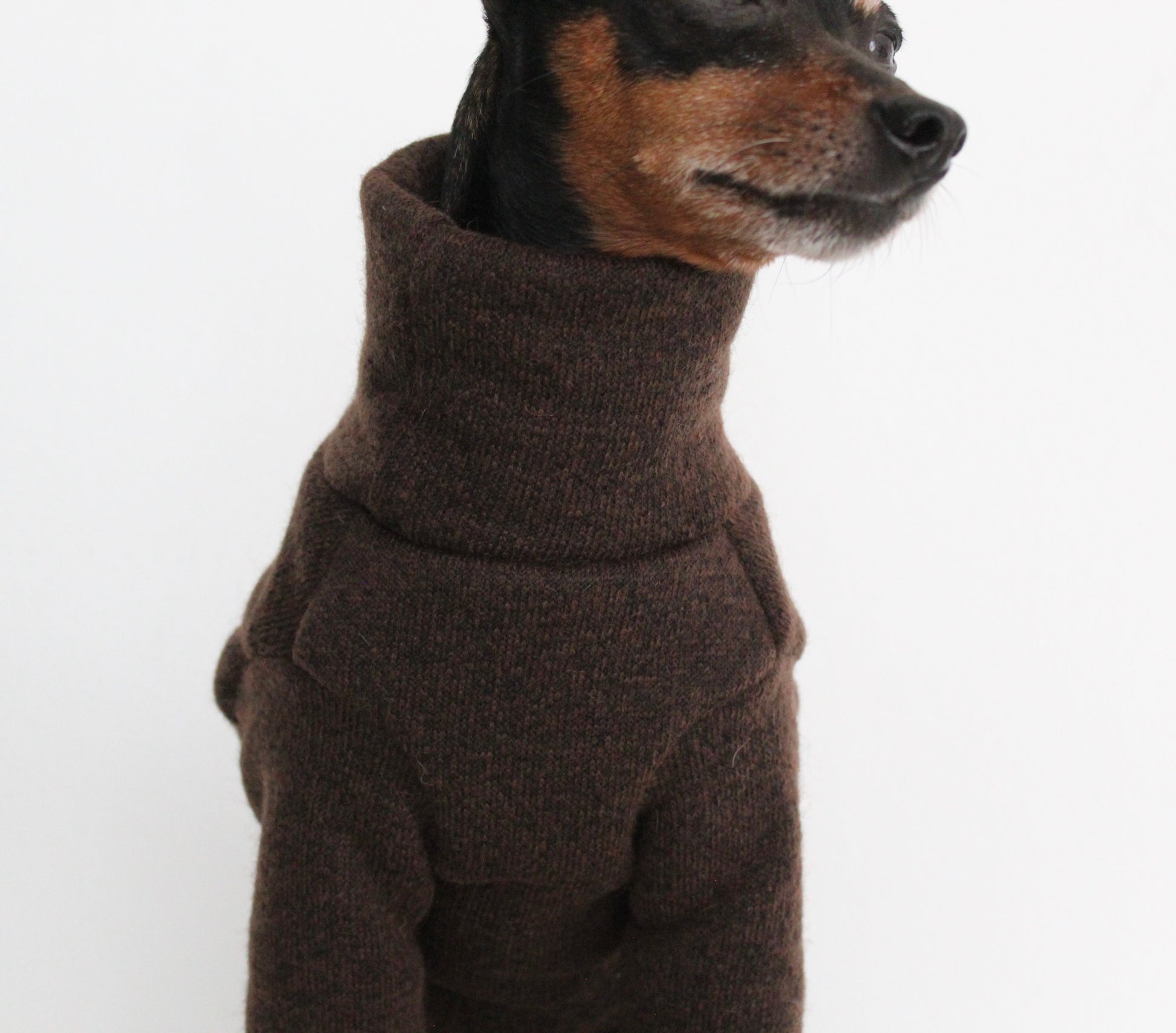 WOOLLY Dark Brown Wool Fabric Onesie Pullover Jumpsuit for Dogs | Custom-Tailored, Made to Measure