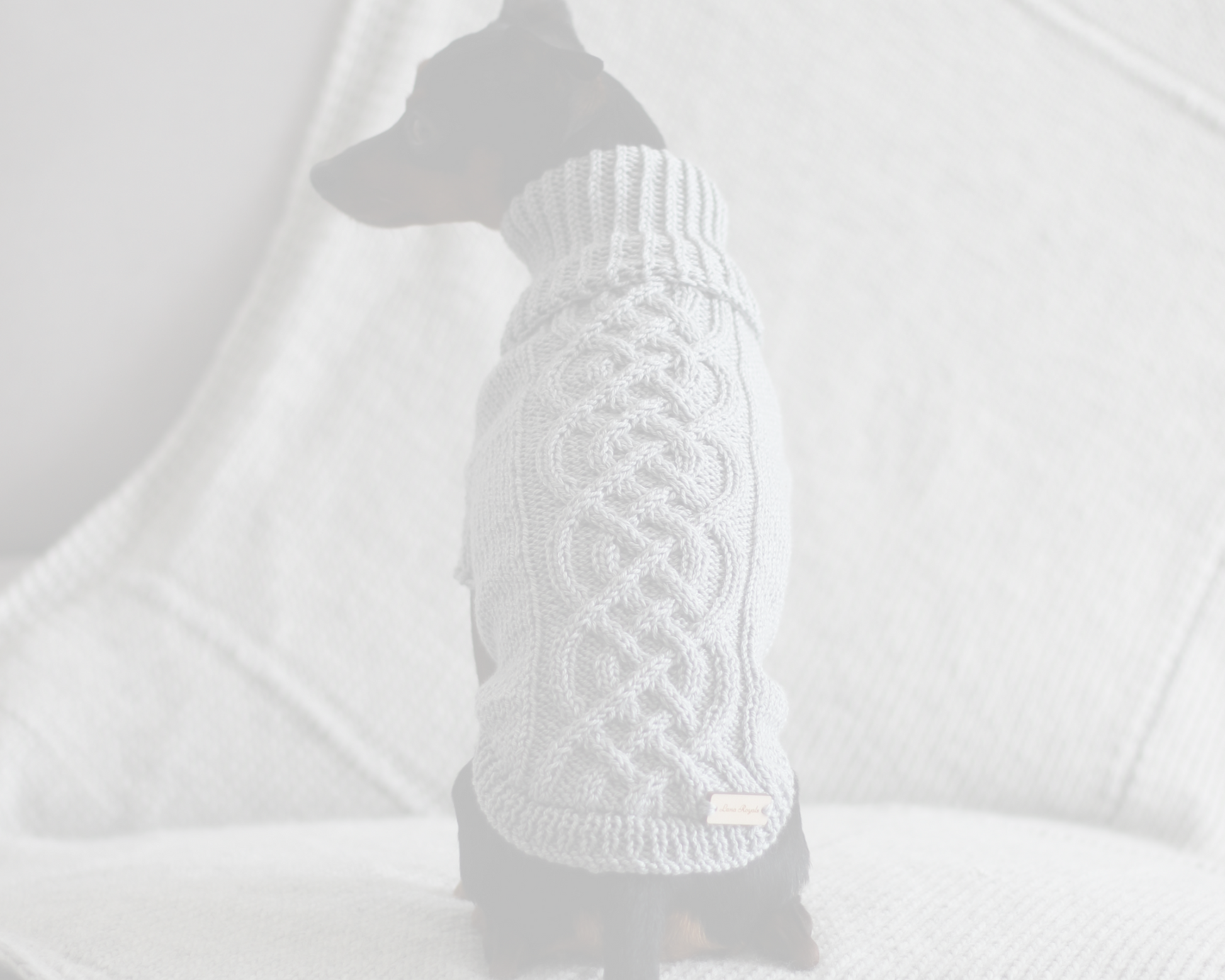 Dog wearing a hand-knitted gray cotton merino wool sweater. Custom handmade sweaters for dogs from Lana Royals Pet Wear.